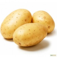 Картофель семенной Гала Элита и 1 РС