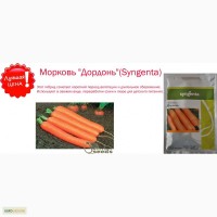 Семяна Морковь Дордонь Сингента, (Syngenta)