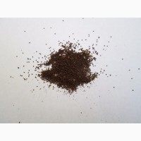 Табак Берли-21(38) семена 20грн-1гр(чайная ложка).Есть ферментированный нарезан лапша