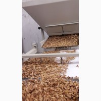 Переработка грецких орехов