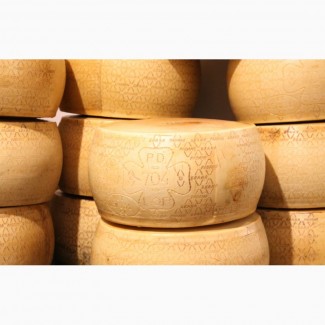 Продам сыр импорт (Италия, Германия, Франция, Польша, Польша, Литва, Дания, Голландия)