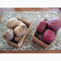 Red and White Potatoes