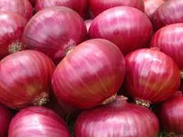 Фото 2. Selling Onions