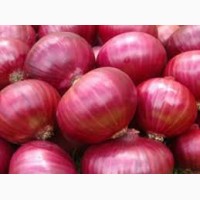 Selling Onions