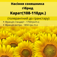 Насіння соняшника гібрид КАРАТ (108-110дн.) гранстаростійкий