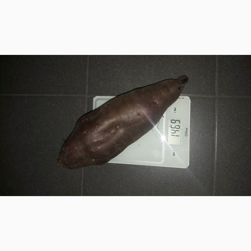 Фото 11. Органический батат, батат, сладкий картофель