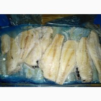Гренадёр рыба 500-700. Рыба макрурус
