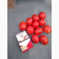Продам помидор сливка 2 фуры