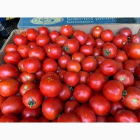 Продам помідори з поля сорти асвон кругла