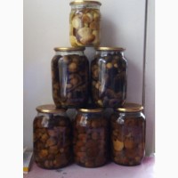 Продам лісові мариновані грибт