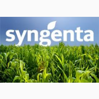 Гербіциди виробництва Syngenta, Дерби, Фюзилад Форте, Аксиал Крос