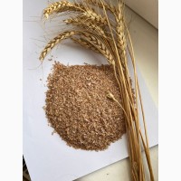 Висівки пшеничні продам