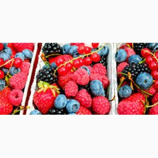 Шукаємо постачальників замороженої ягоди оптом від 20 тон по всій Україні