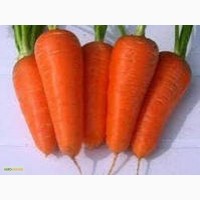 Продам семена морковки, Одесса + доставка почтой по Украине