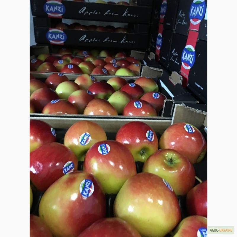 Фото 7. Продаем яблоки из Испании