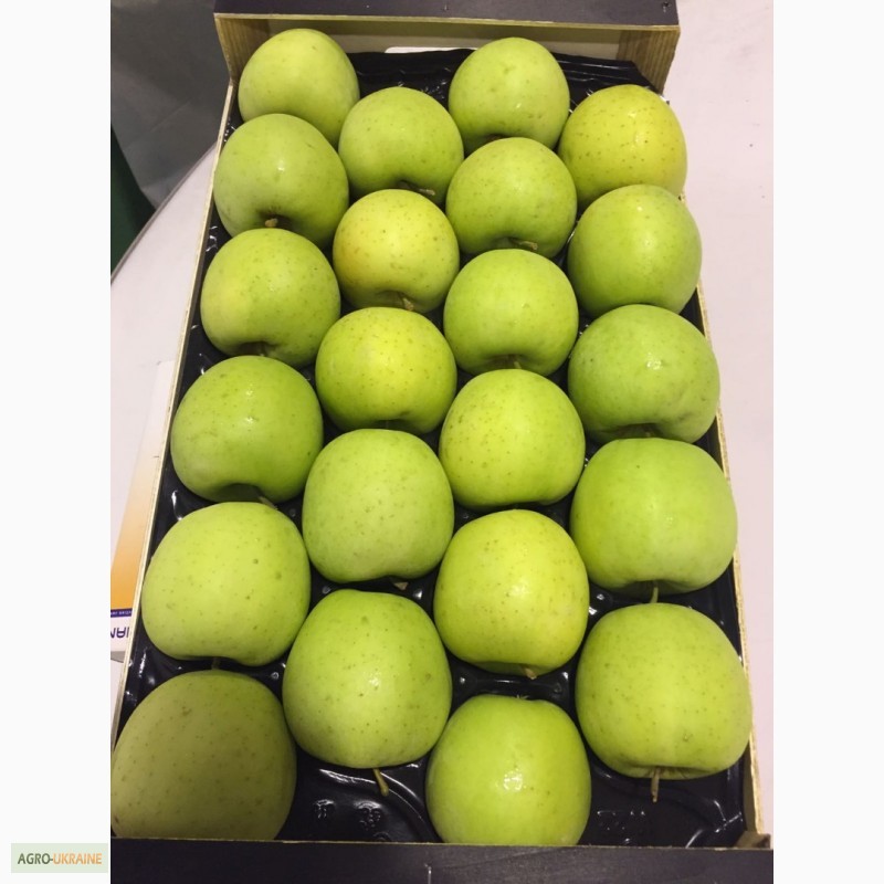 Фото 5. Продаем яблоки из Испании