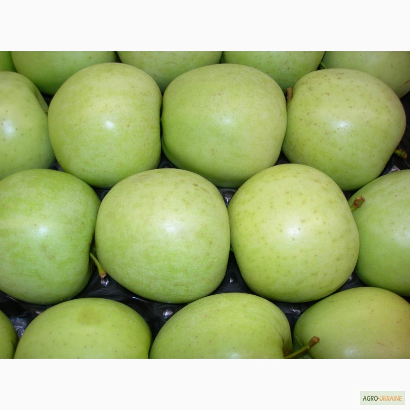 Фото 15. Продаем яблоки из Испании