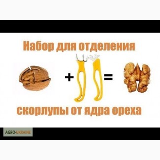 Набор для разбора грецкого ореха орехокол грецкий орех грецький горіх