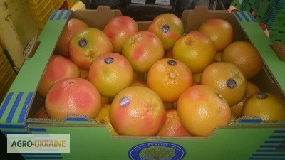 Продаем грейпфрут из Испании