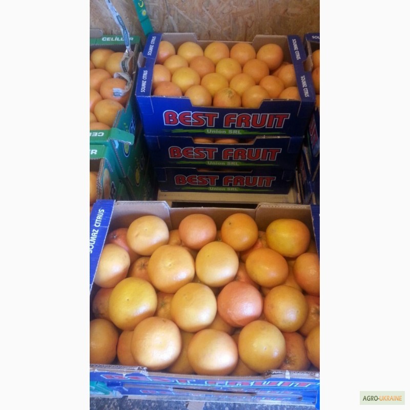 Фото 2. Продаем грейпфрут из Испании