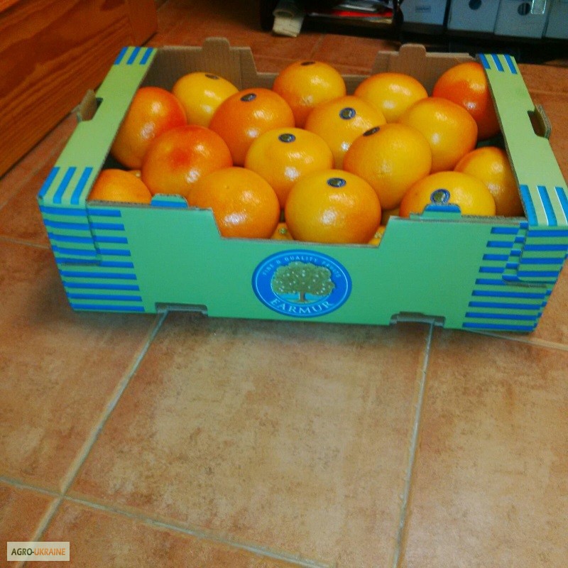 Фото 3. Продаем грейпфрут из Испании