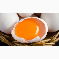 Яйцо куриное С1 белое FCA CIF