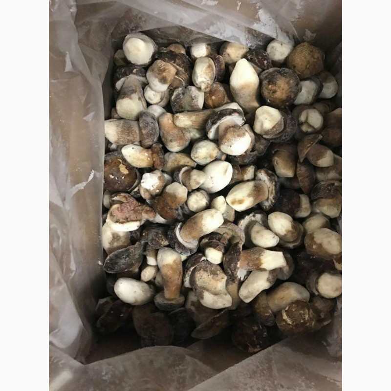 Білий карпатський гриб (свіжий, сушений, заморожений)
