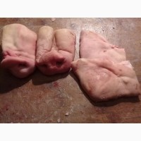 Продам головизну свин., пятаки, жир свиной и говяжий