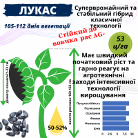 Посівний матеріал соняшника та кукурудзи