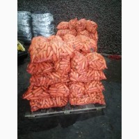 Терміново продам моркву сорт Абака, від 1 тони