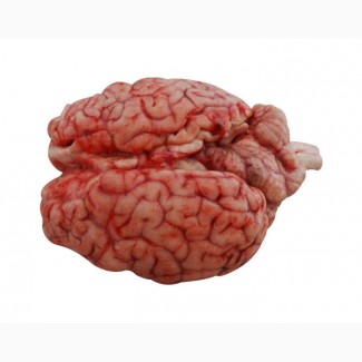 Мозок яловичий