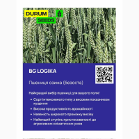 Насіння пшениці - БГ Логіка (BG Logika) пшениця м#039;яка озима (Biogranum D.O.O.)