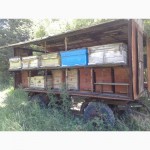 Продам павильон на 25 пчелосемей, вместе с пчелами