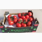 Продаем томаты из Испании