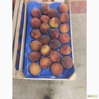 Продам персик и нектарин оптом