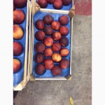Продам персик и нектарин оптом