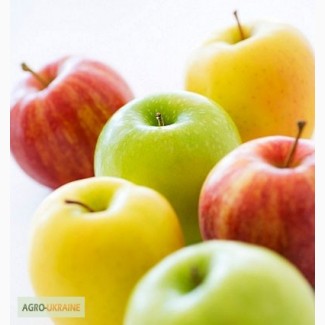 Покупаем яблоки разных сортов крупным оптом от производителей