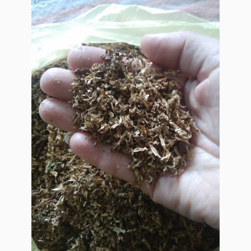 Фото 4. Продам табак смесь сортов Вирджиния и Гавана. СВОЙ. Урожай 2018 года