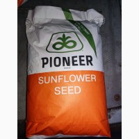 PIONEER P64LE25 (П64ЛЕ25) - насіння соняшнику