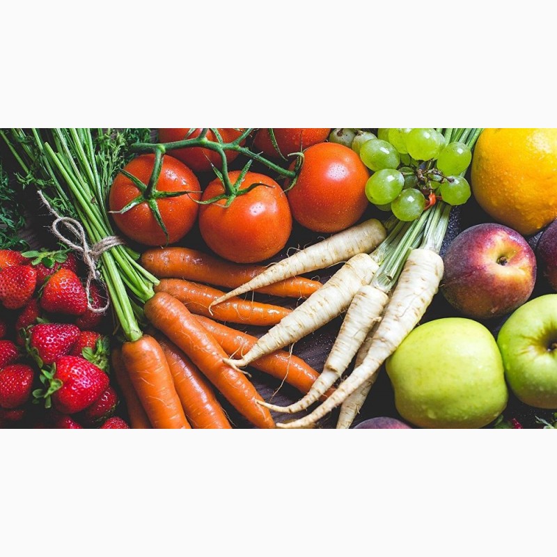 Фото 3. Продам семена овощей от производителей ОПТОМ ! Огурец, кабачок, морковь, капуста, редиска