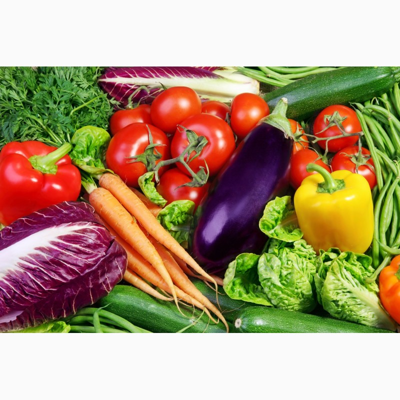 Фото 4. Продам семена овощей от производителей ОПТОМ ! Огурец, кабачок, морковь, капуста, редиска