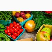 Продам семена овощей от производителей ОПТОМ ! Огурец, кабачок, морковь, капуста, редиска