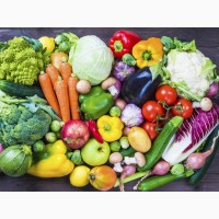 Продам семена овощей от производителей ОПТОМ ! Огурец, кабачок, морковь, капуста, редиска