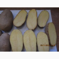 Картофель из Австпии