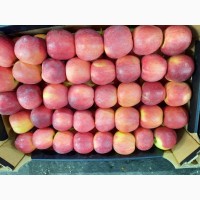 Продам яблоки от произодителя от 20 тонн