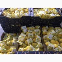 Прямые поставки лимонов из испании