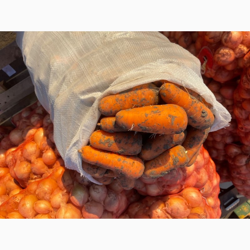 Фото 5. Продам морковку урожая 2022 года
