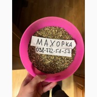 Самосад або домашня махорка