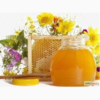 Покупаем мёд, на территории всей Украины.По высоким ценам