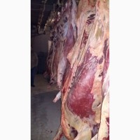 Фото 2. Есть покупатели баранины говядины живую, охлаждённые замореженую туши и полутуши